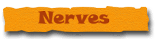 namenervesonly.gif (4934 bytes)