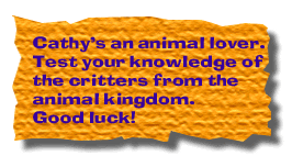 textcathysanimalmatch.gif (25277 bytes)